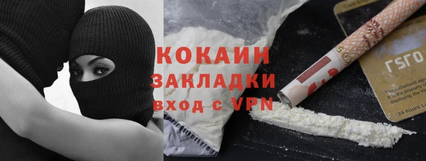 молекула духа Ельня