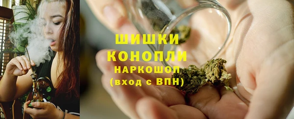 молекула духа Ельня