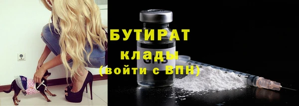 сатива Елабуга