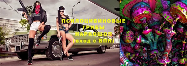 стафф Дмитриев