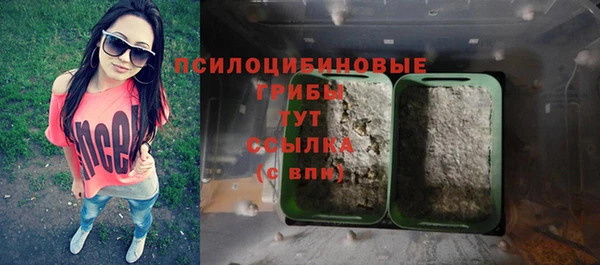 скорость Гусев