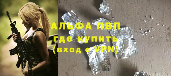 сатива Елабуга