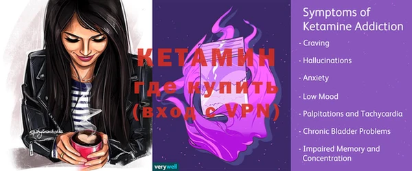 стафф Дмитриев
