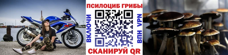 МЕГА как войти  Рудня  Псилоцибиновые грибы Psilocybine cubensis  продажа наркотиков 